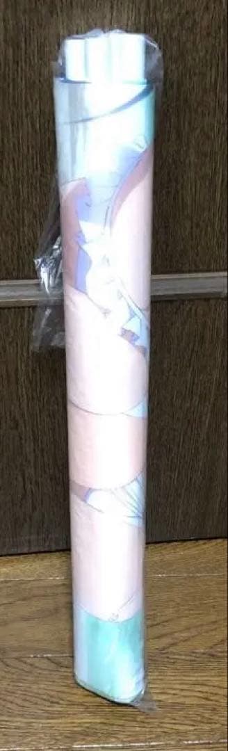 A1 水着タペストリー