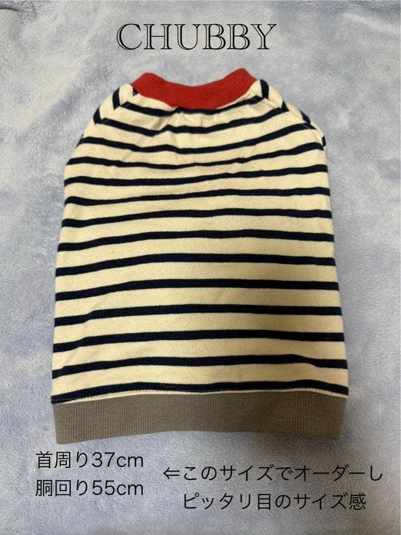 犬服・アクセサリー TiTiTi /and Charlie/STARBOXx/ peak