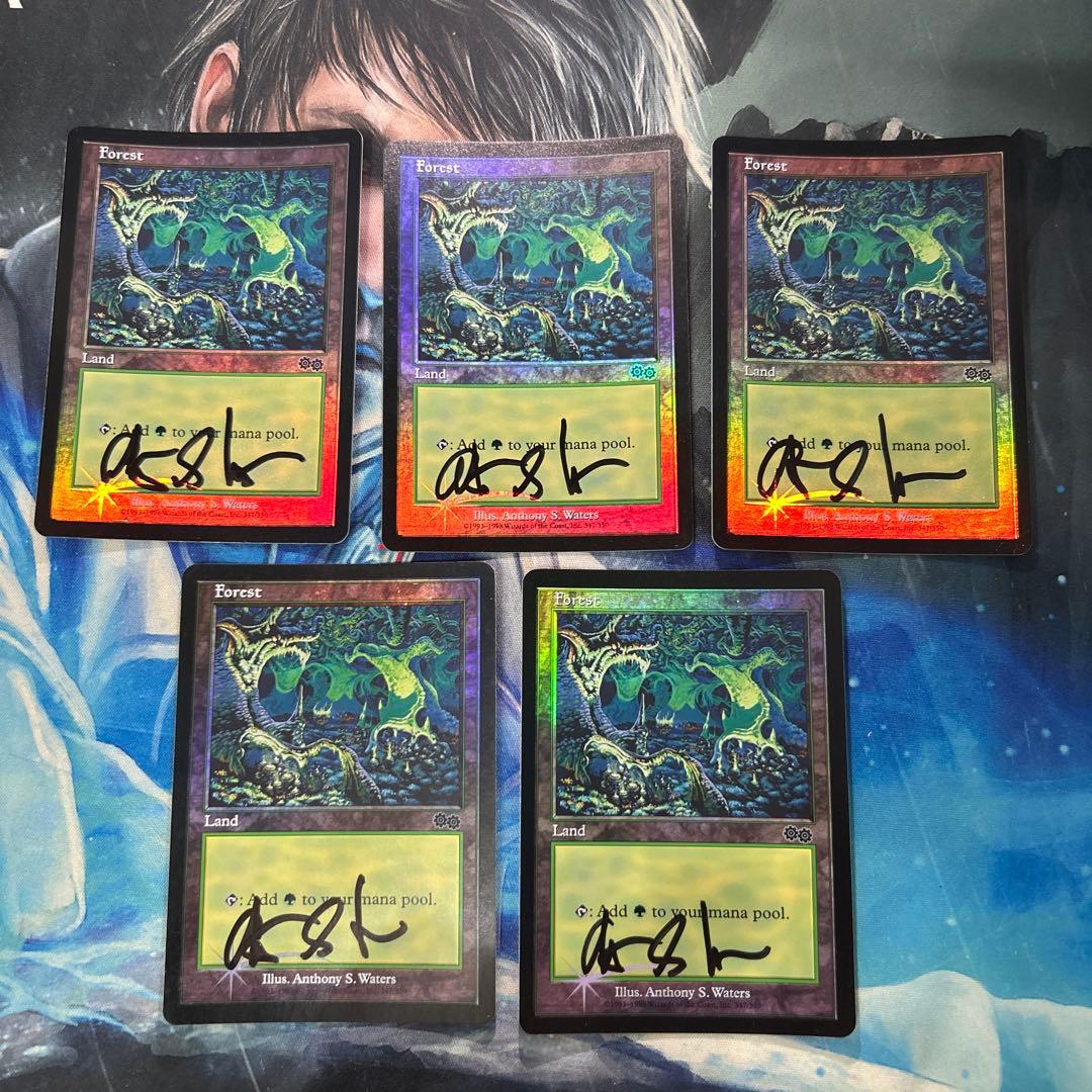 mtg Foil ウルザズサーガ森 アリーナFoilランド 英語 en 5枚