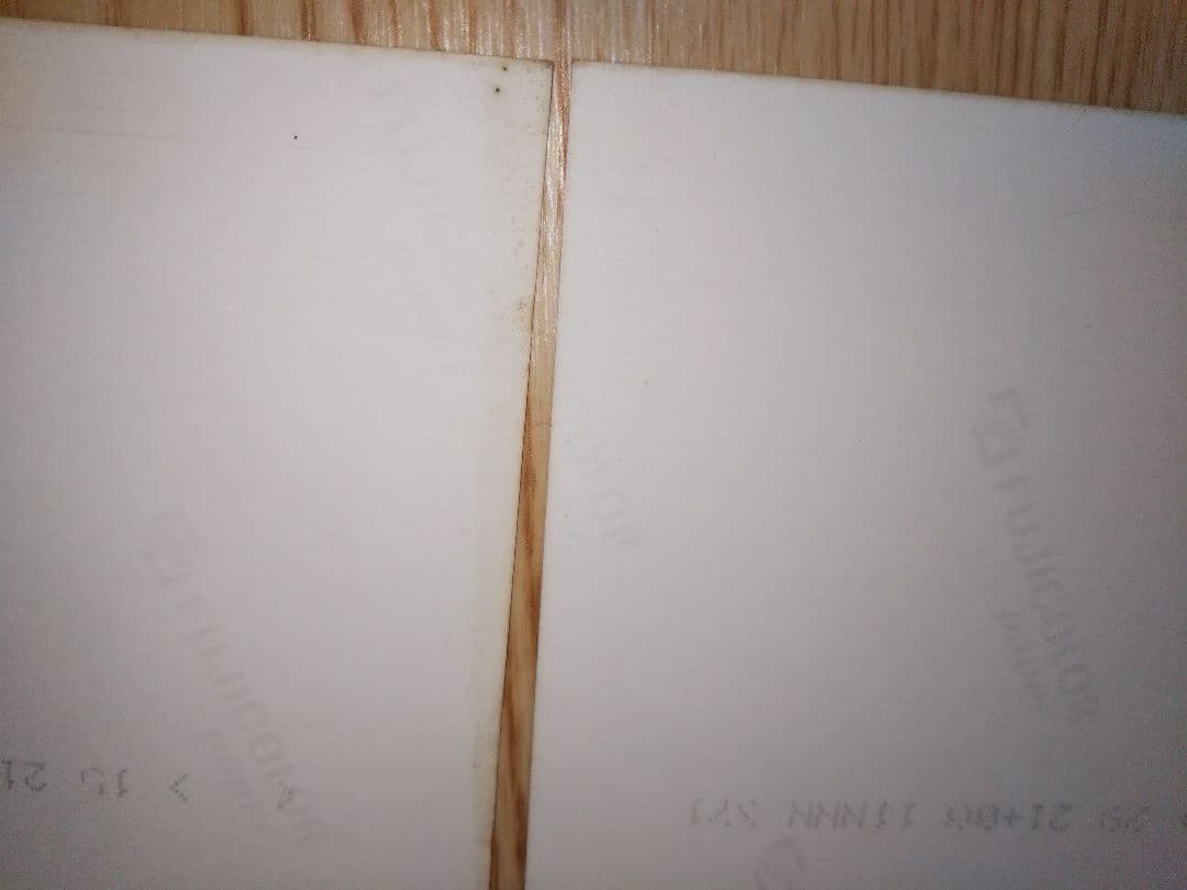 ダウンタウン 生写真２枚組