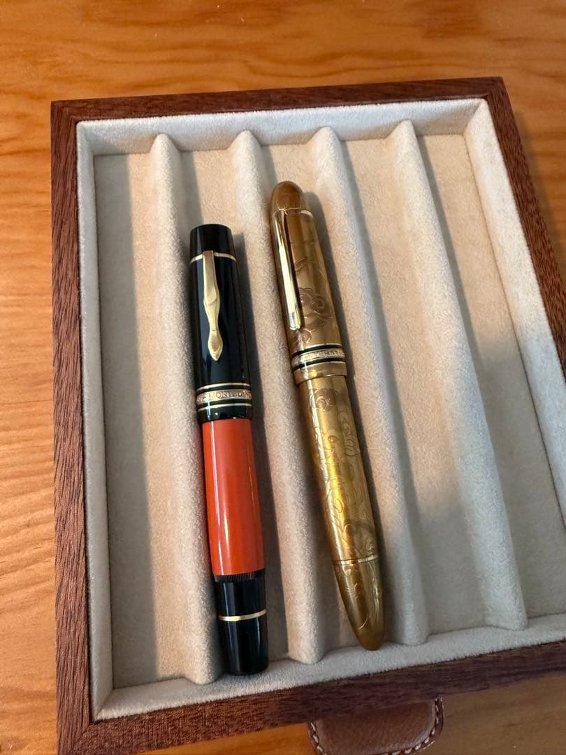 万年筆コレクターズボックス、100本入り、アグレスティー(イタリア)