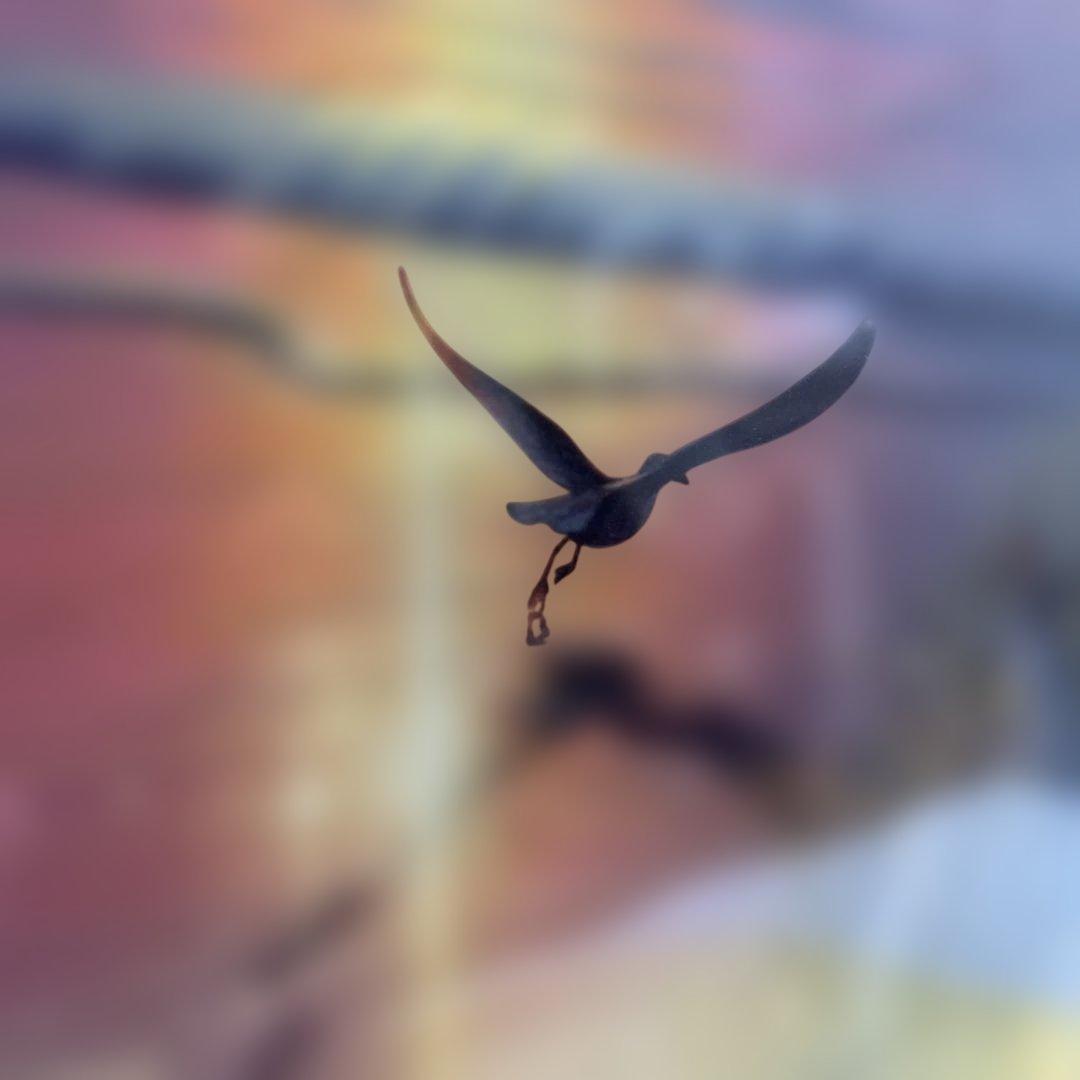 6354 カーク・レイナート「ラディアント・シーショー」サイン ◆ダイヤ2個付