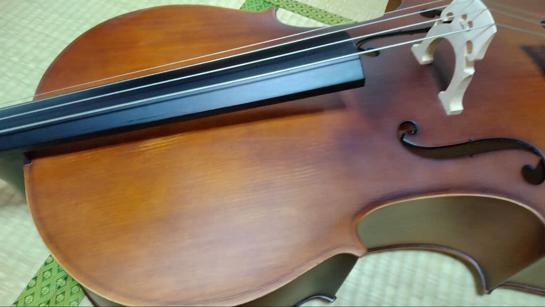 Hallstatt チェロ 初心者向け