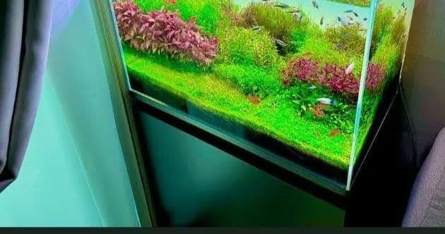 水槽フルセット 大特価セール 即日発送(送料無料)