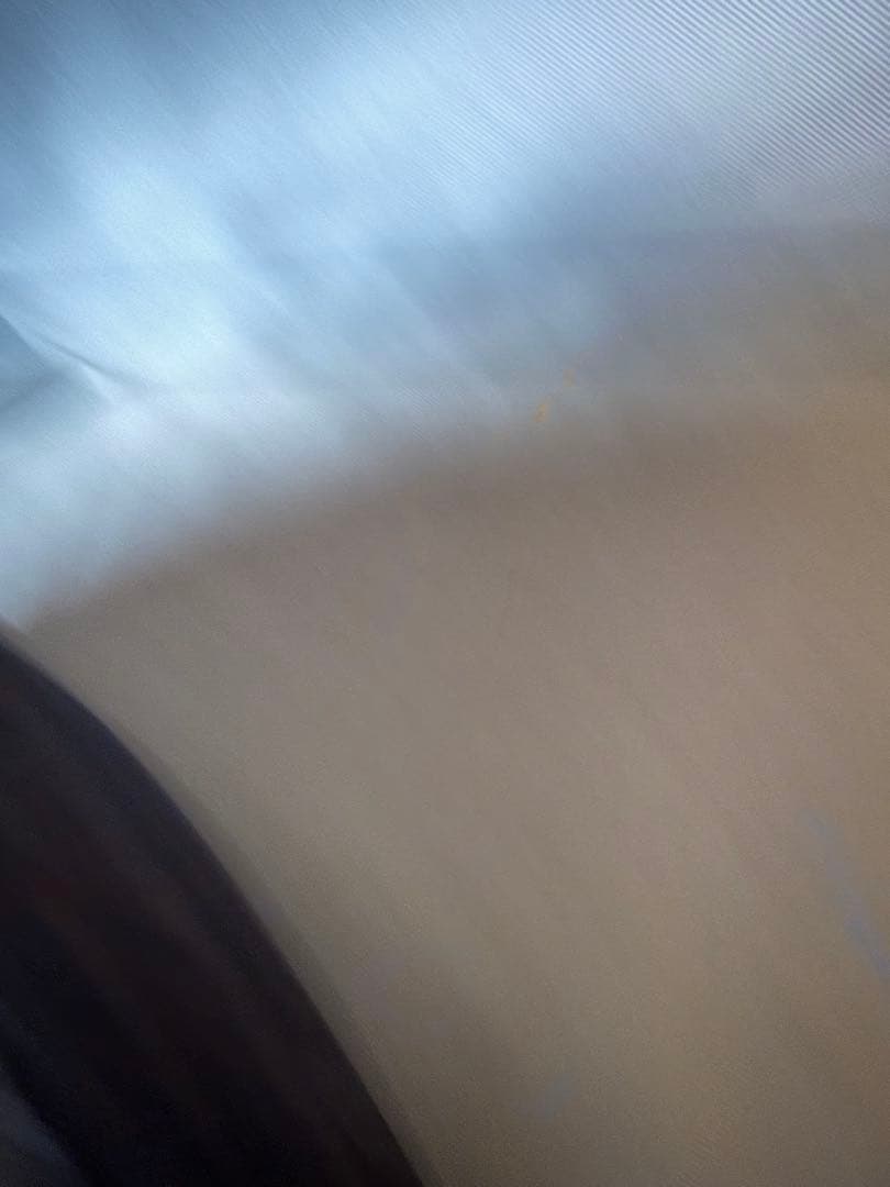 pacsafe パックセーフ　vibe 325