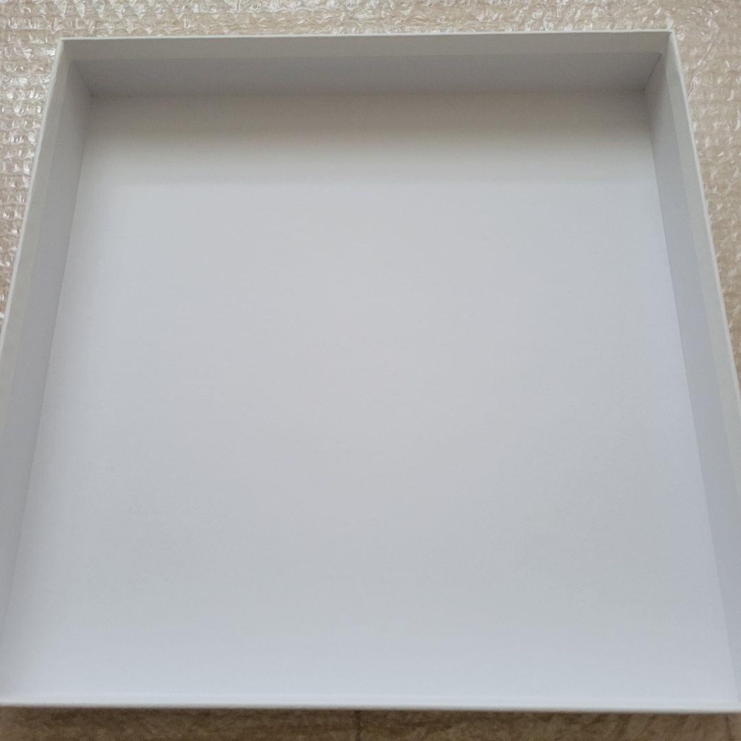 C105 鬼滅の刃 柱稽古編 幕間画集 豪華版 不死川実弥