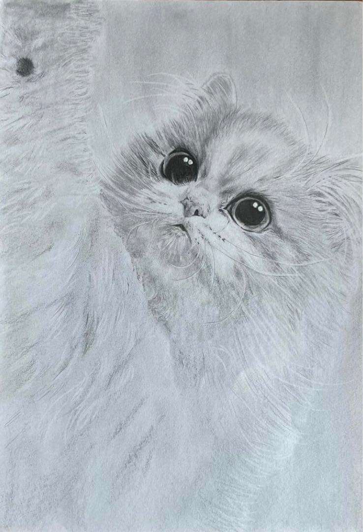 鉛筆画　オーダー画面