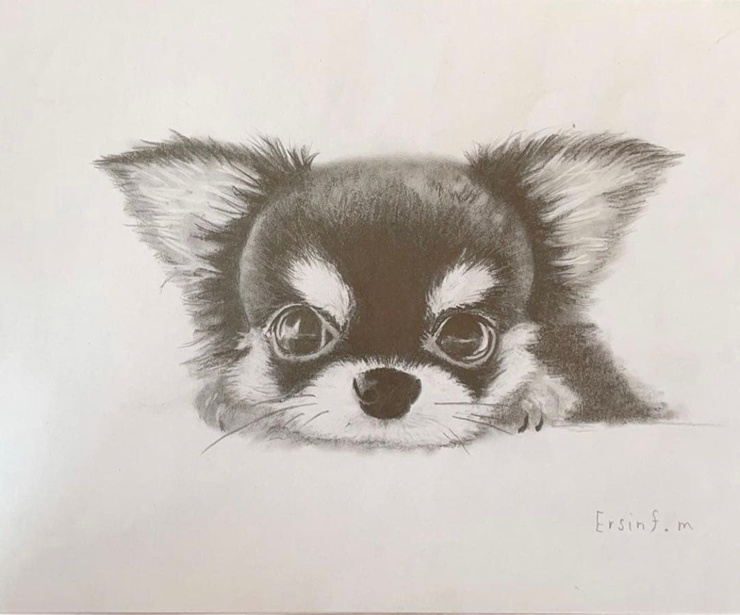 鉛筆画　オーダー画面