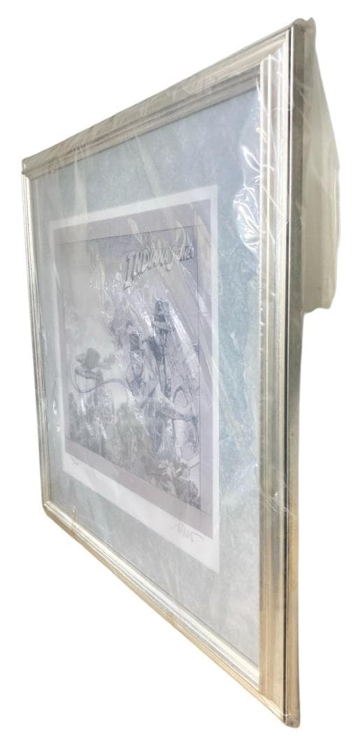 ★正規品・証明書付★ ドゥルー・ストゥルーザン インディジョーンズ