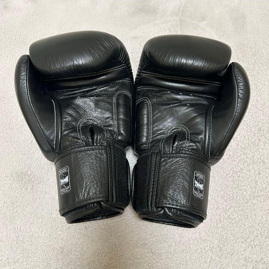 TWINS ボクシンググローブ　ツインズ　キックボクシング　グローブ