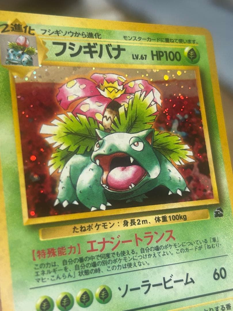 ポケモンカード　フシギバナ　旧裏