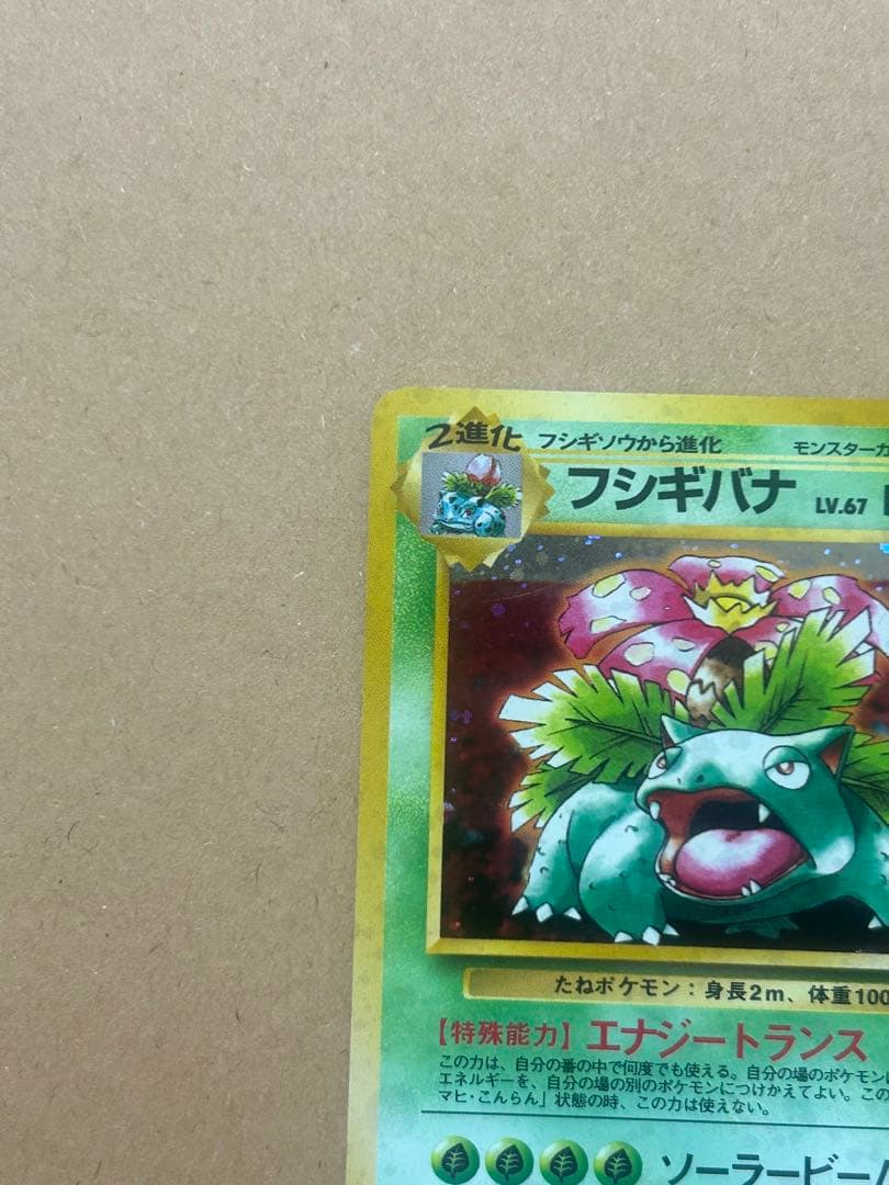 ポケモンカード　フシギバナ　旧裏