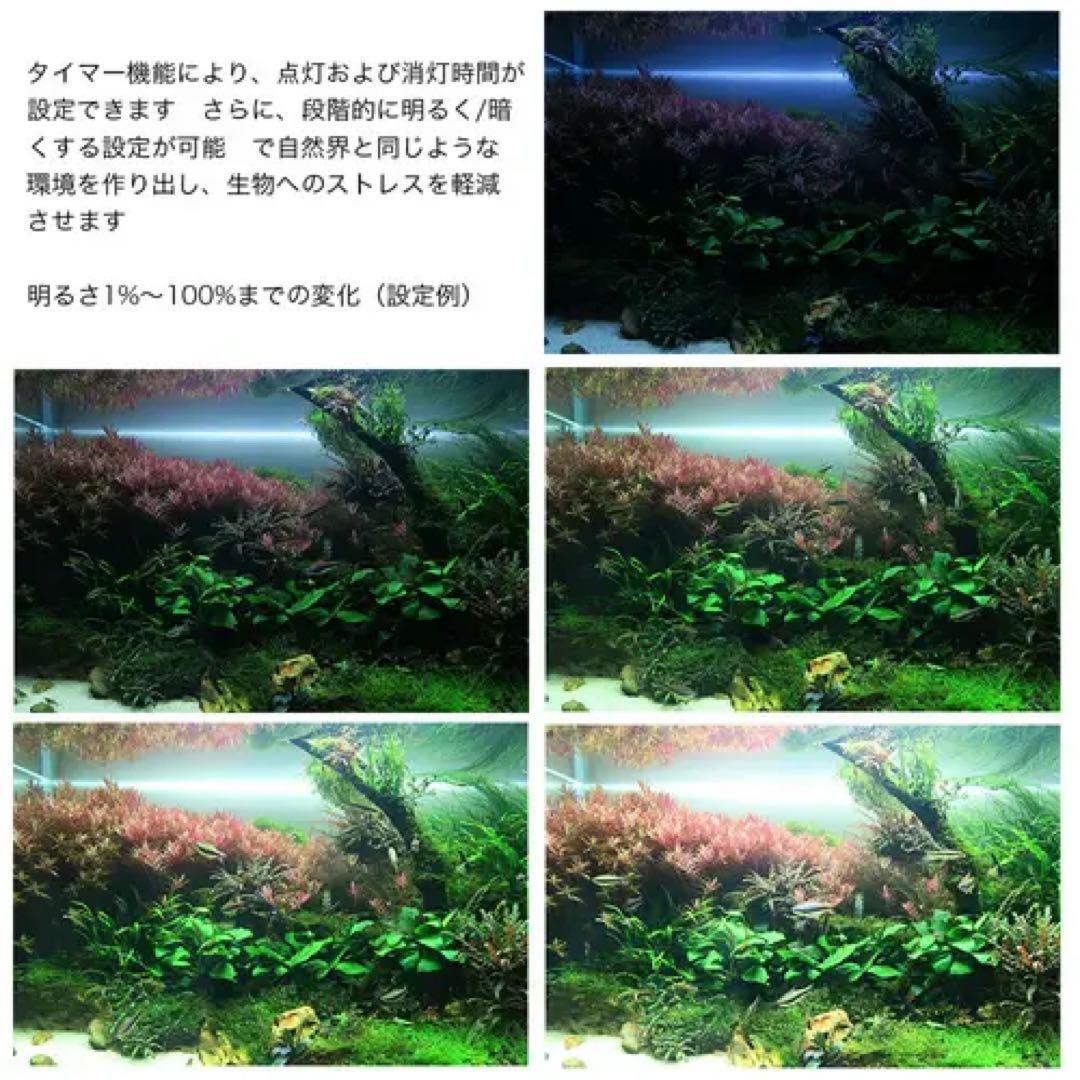 Chihiros WRGB2 60 10周年モデル