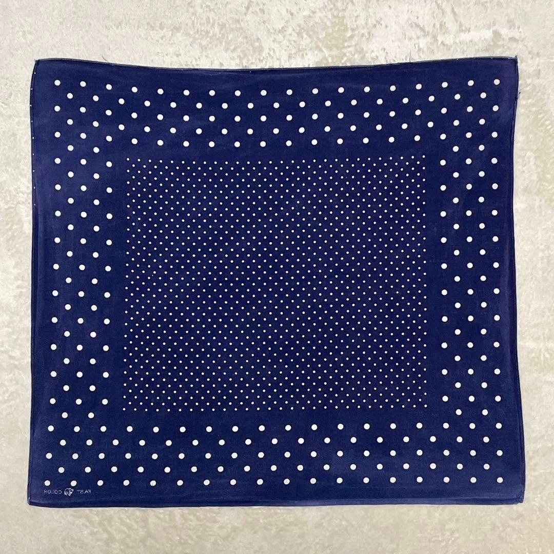 希少30s40s ポルガドット 下鼻 ゾウ 片耳 FAST COLOR