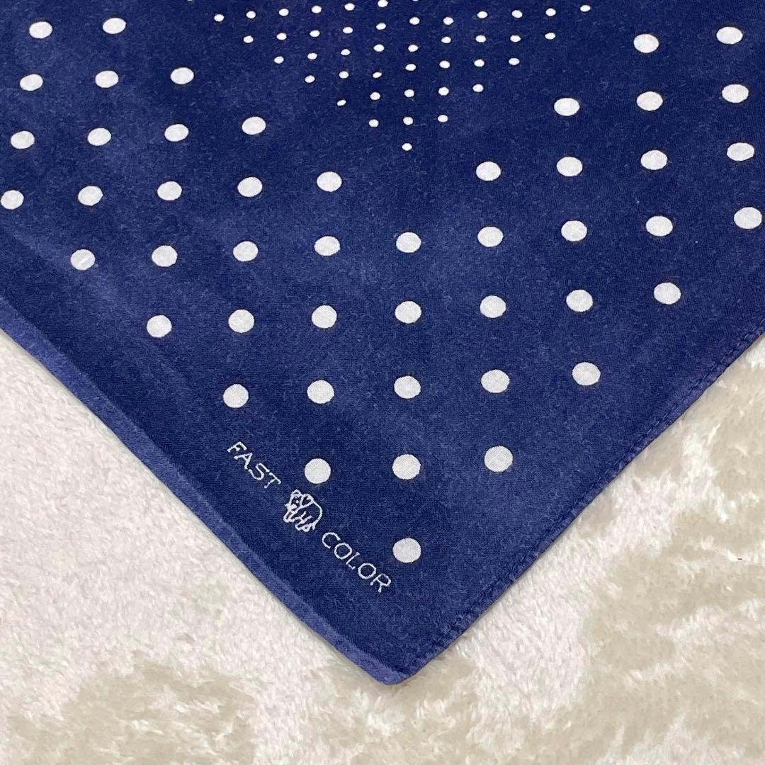 希少30s40s ポルガドット 下鼻 ゾウ 片耳 FAST COLOR