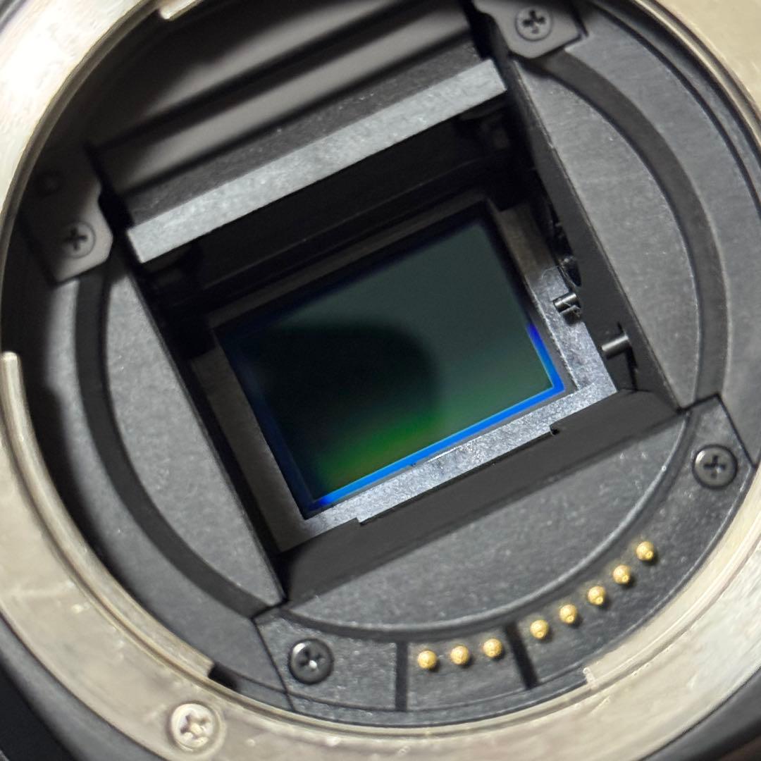 Canon EOS 80D デジタル一眼レフカメラ