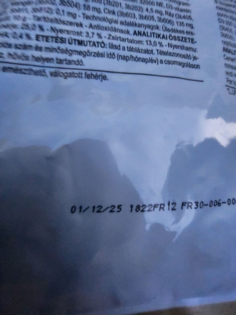 2個セット　Golden Retriever ゴールデンレトリバー12キロ