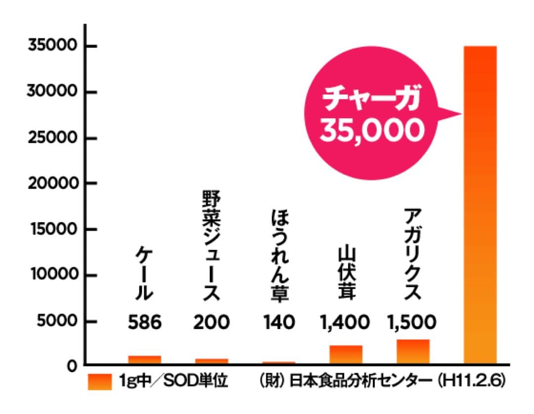 カバノアナタケ　チャーガ茶　【八幡平市産】640g