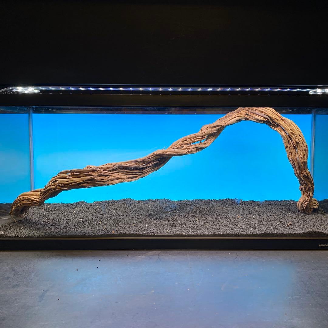 MTW-6748 蔦流木1点物　90cm水槽用流木　アクアリウム