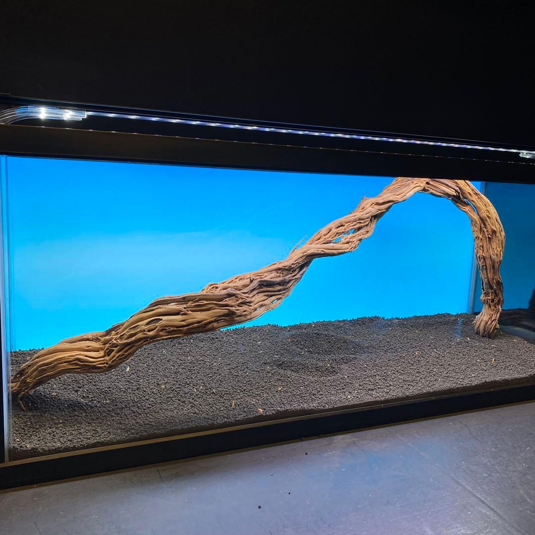 MTW-6748 蔦流木1点物　90cm水槽用流木　アクアリウム