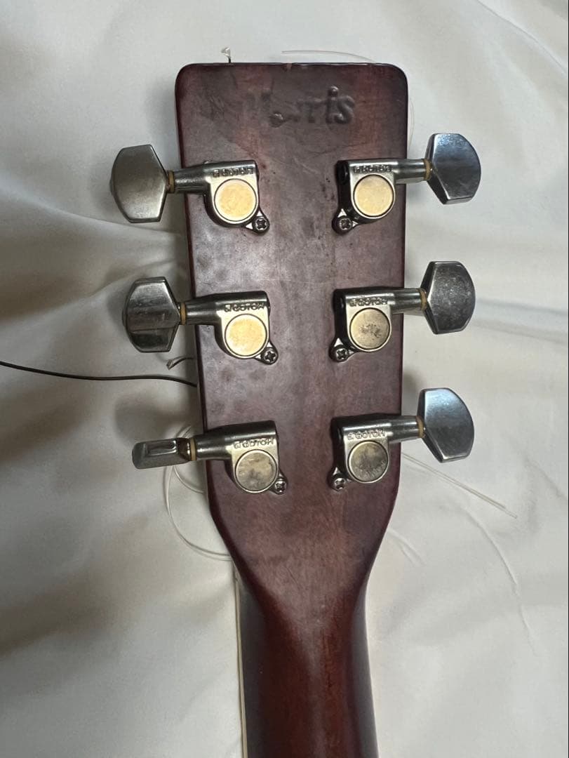 Morris TF アコースティックギター