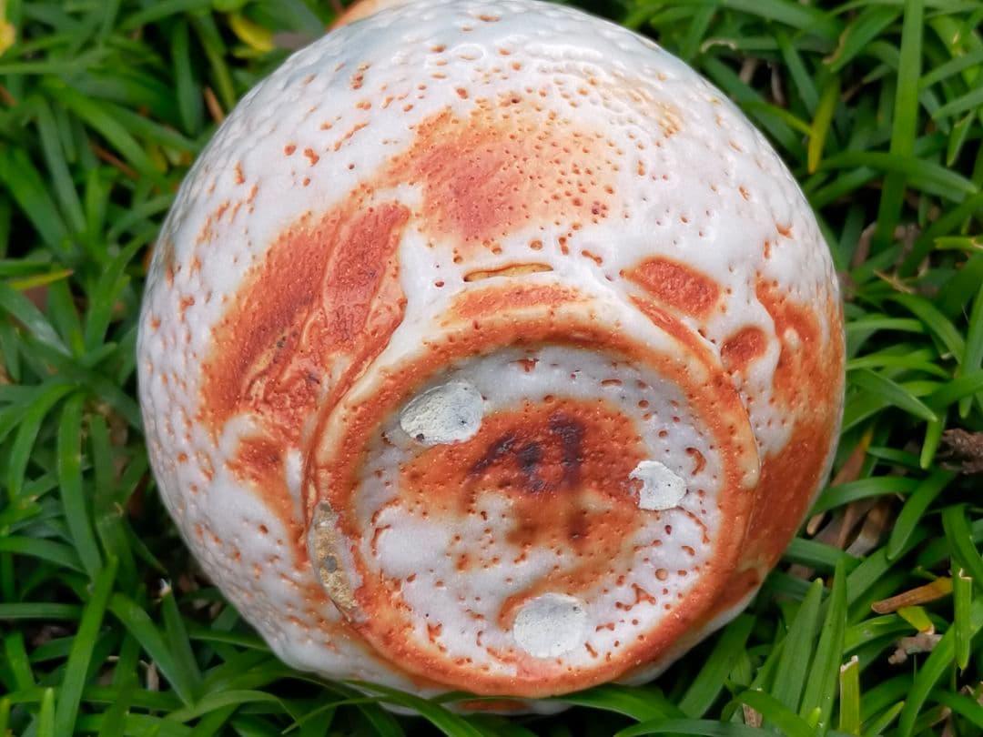 ♥未使用　各務周海　志野　徳利　共箱付き