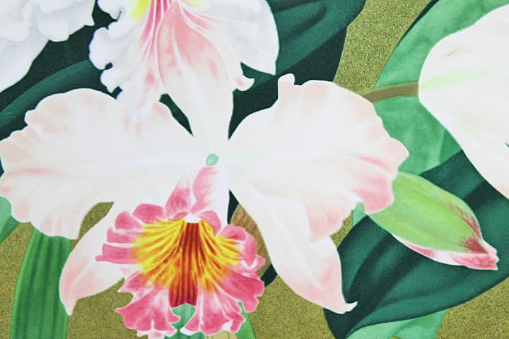 森田りえ子 【カトレヤ】 リトグラフ