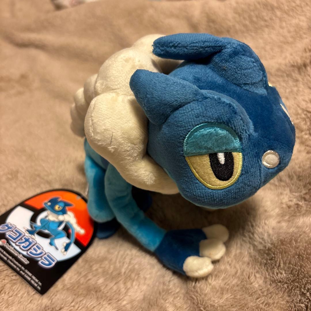ポケモンセンター　ゲコガシラ　ぬいぐるみ