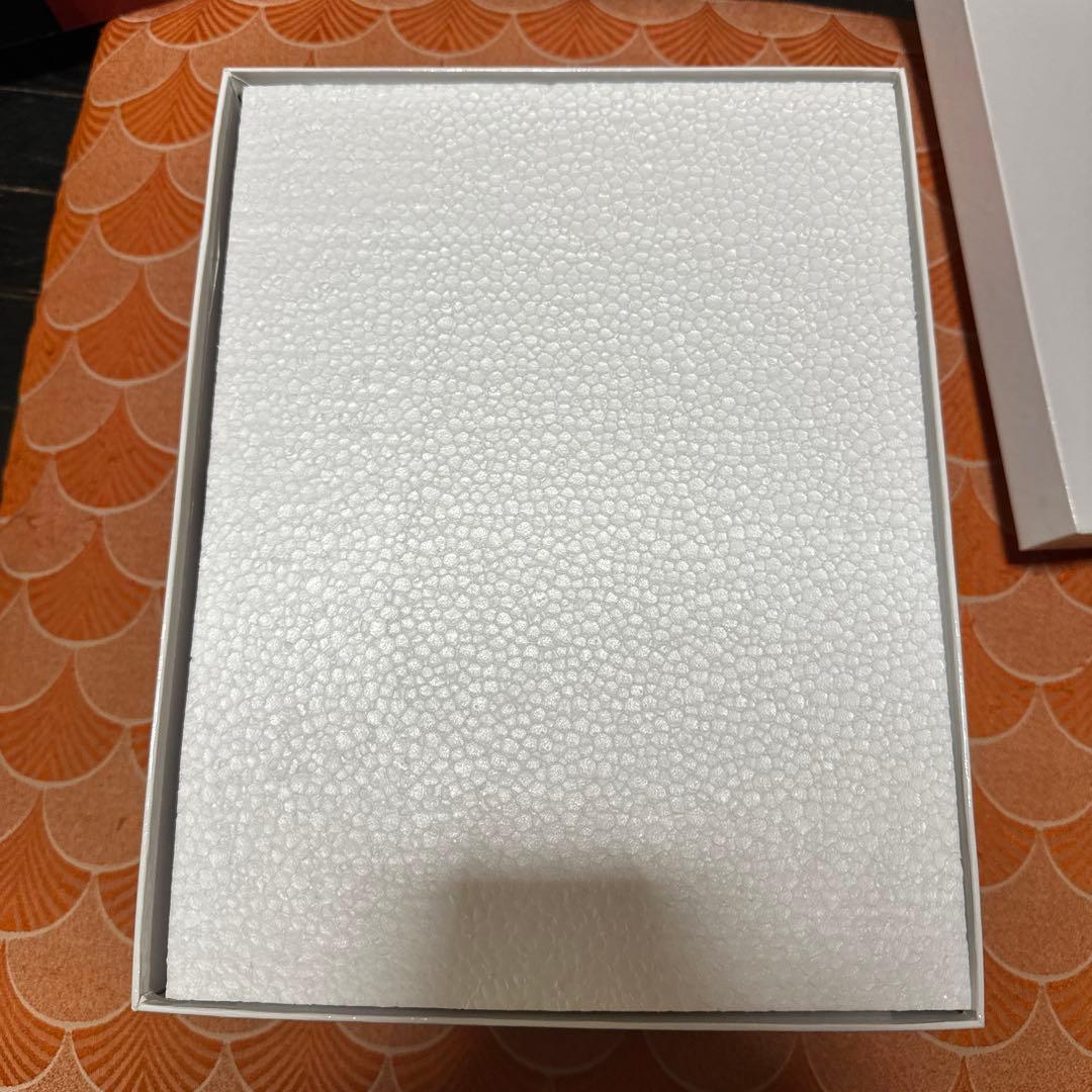 入手困難品　IXY digital 30周年　モデル　化粧ケース　当時品