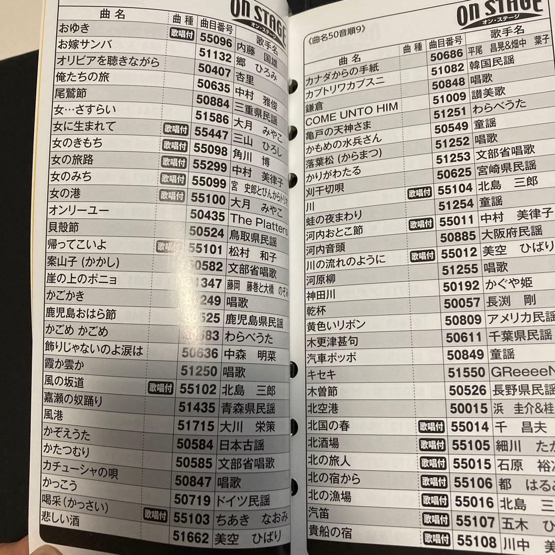 ON STAGE PK-NE01W パーソナルカラオケ マイク 900曲2015