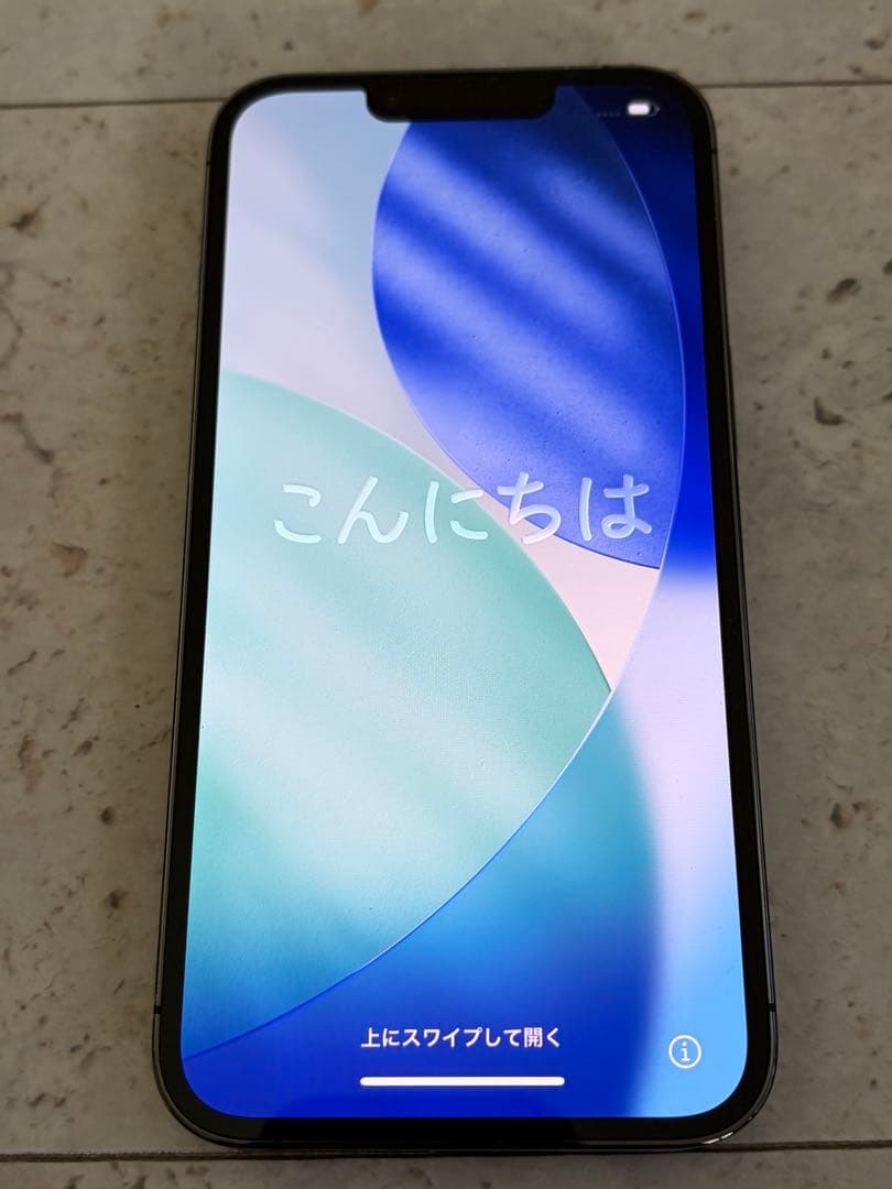 Apple iPhone 13 Pro グラファイト SIMフリー ケースオマケ