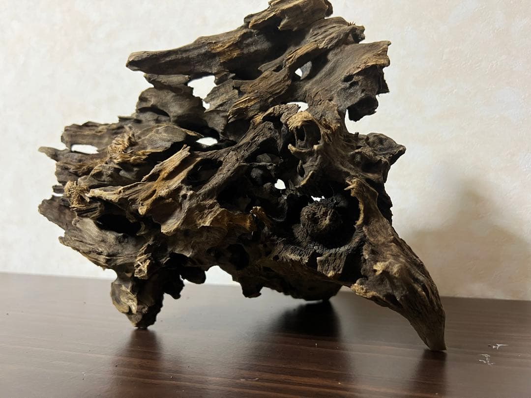 (XM-200) 流木　マシンガンウッド　アクアリウム　沈水確認済