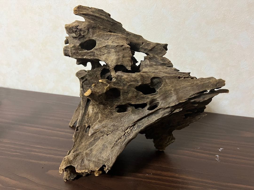 (XM-200) 流木　マシンガンウッド　アクアリウム　沈水確認済