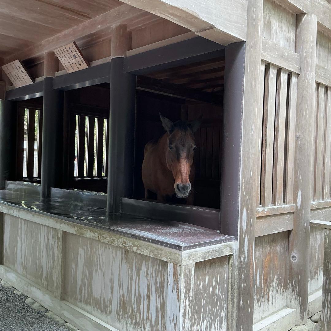 糸魚川翡翠　土倉沢　勾玉　1点のみ‼︎