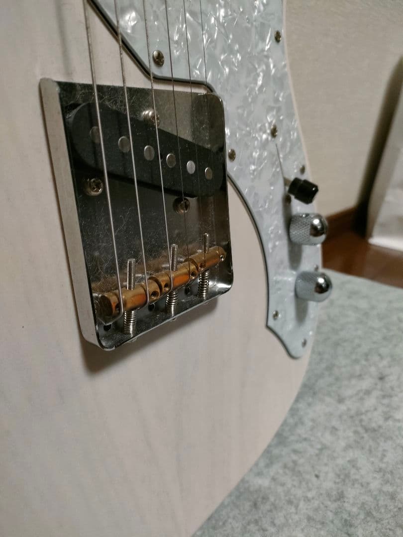 FGNフジゲン テレキャスターシンライン NTL 10M AHT - WB/01