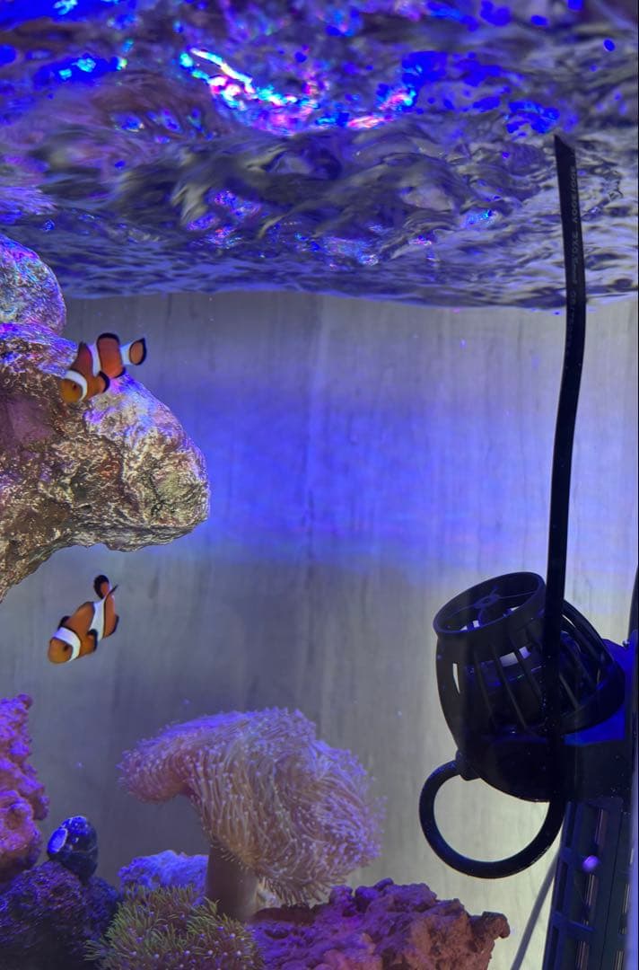 【はげもやし】Vesta Wave ポンプ 15W 4000L/h