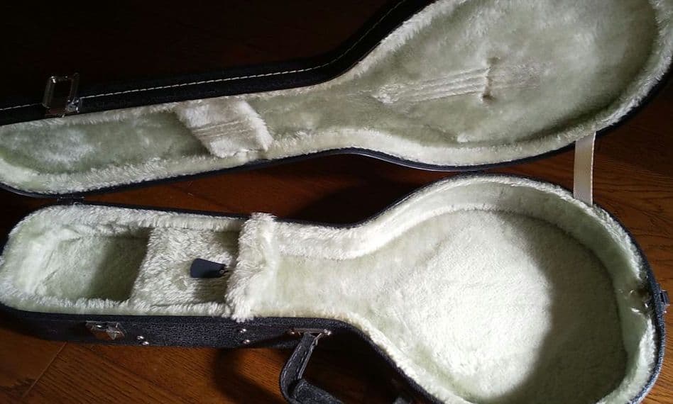 フラットマンドリン アリアAM-200E