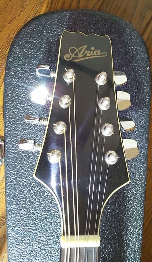 フラットマンドリン アリアAM-200E