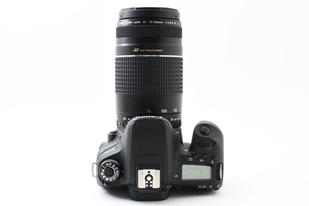 保証/付属品付き/Canon EOS 9000D望遠レンズセット