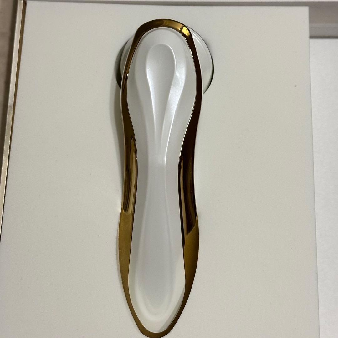 【正規品】ミスアリーヴォ ザ レイス ARTISTIC&Co 美顔器