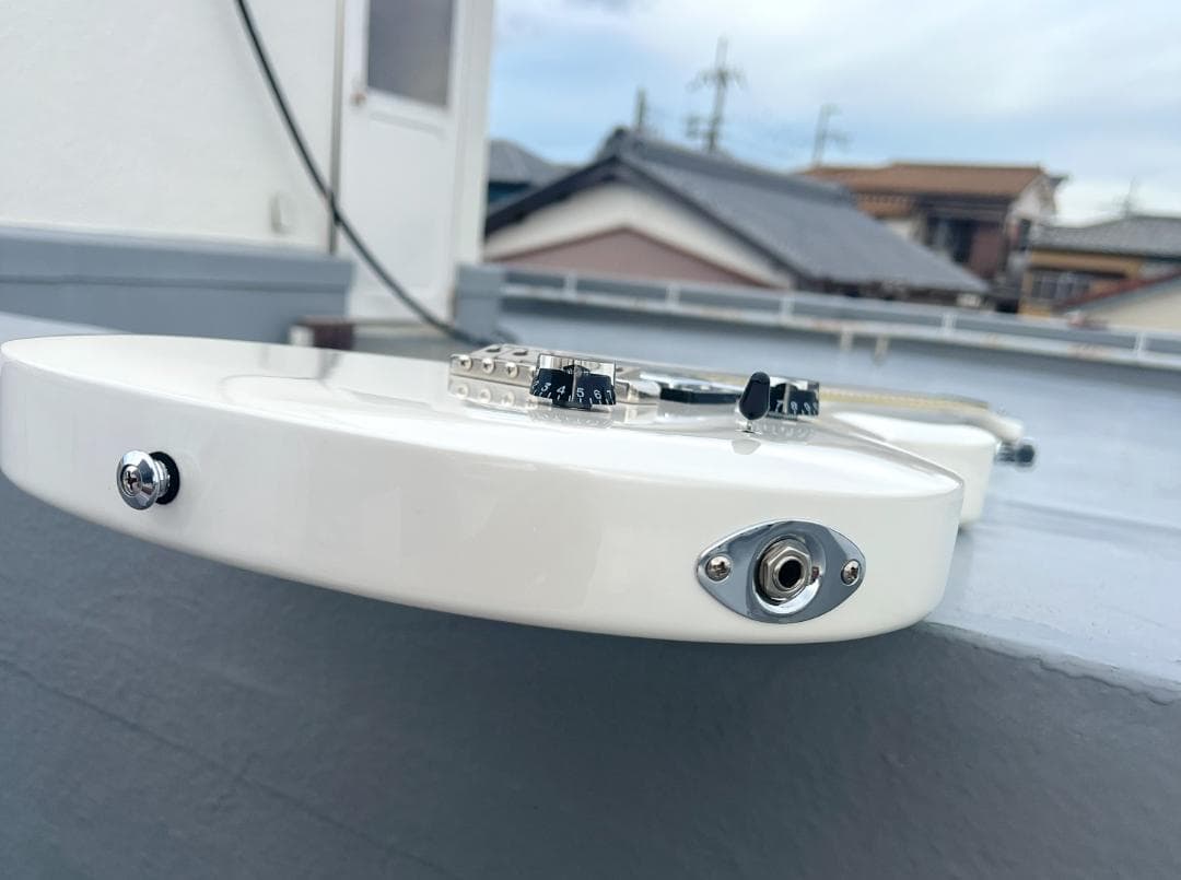 PRS SE Standard 24 Pearl White (希少品)