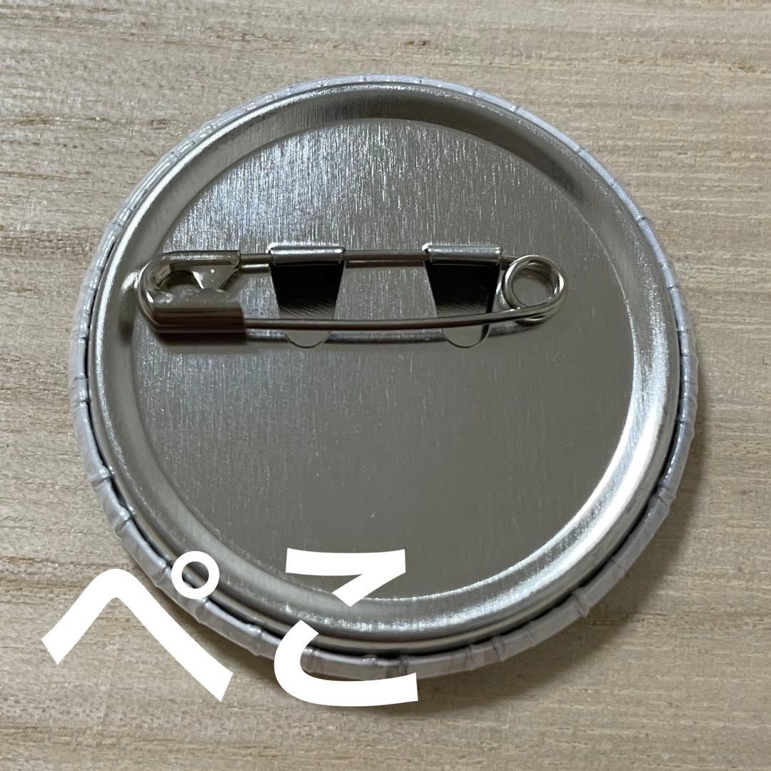 文豪ストレイドッグス 泉鏡花 原作絵 原作柄 缶バッジ