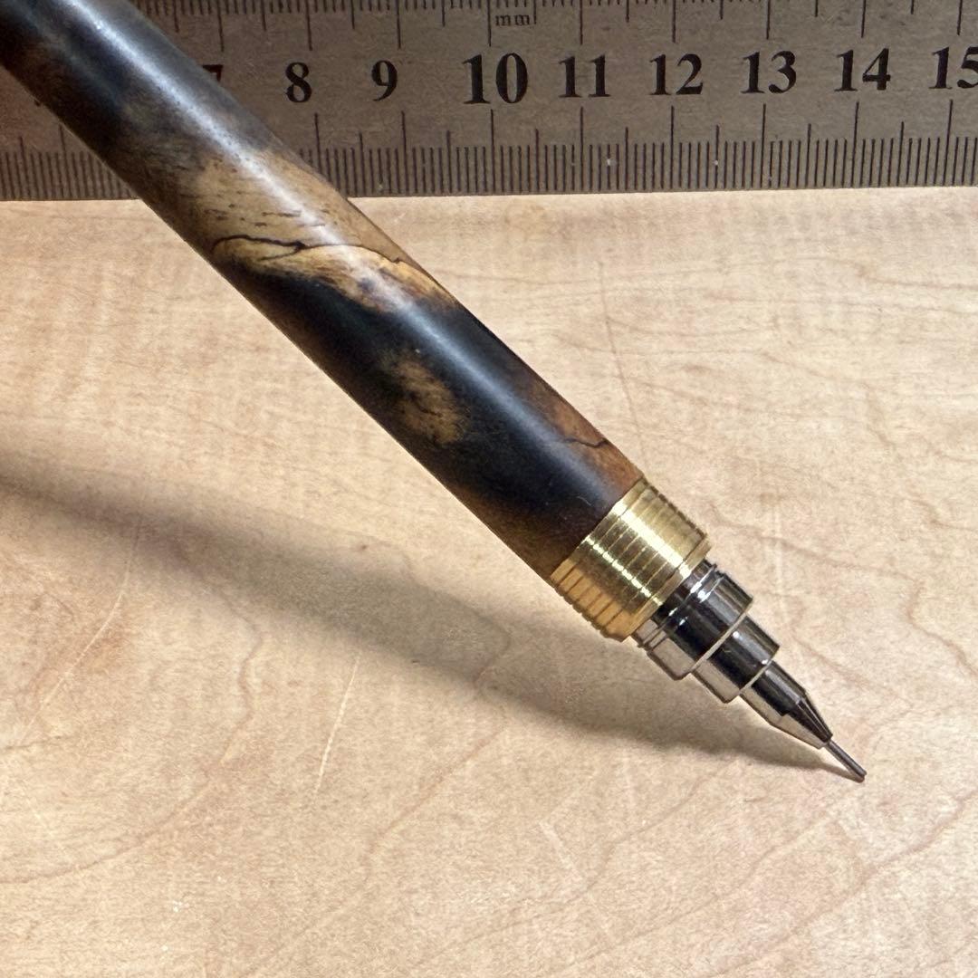 スギ　オーダー