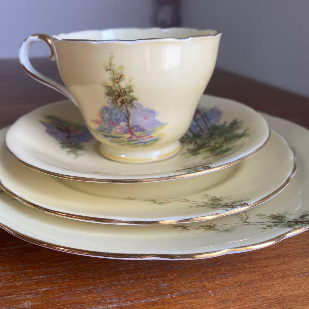 エインズレイ　ブルーベル　クリームイエロー　カルテットカップ　ソーサー　プレート