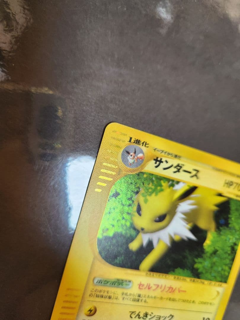 サンダース　キラのeカード