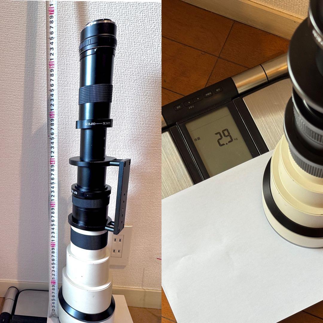 超望遠 スリービーチ SUPER BIG 100A 1000-1600