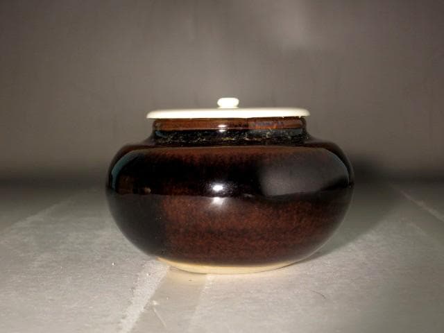 桶谷定一　大梅茶入　「遠山」堀内流十二代兼中斎　宗完花押 r497