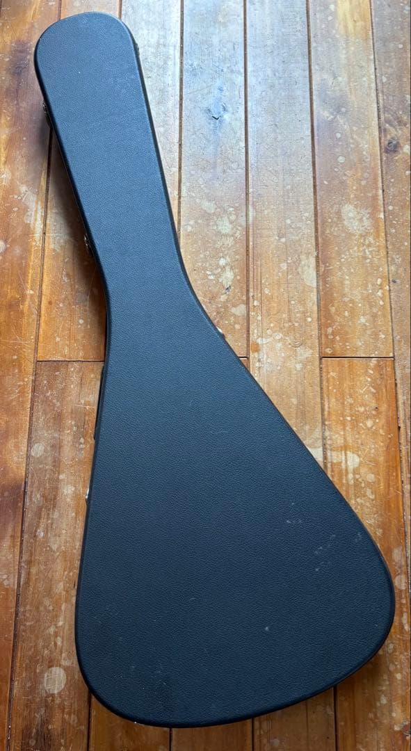 完全ジャンク Gibson Flying V H/C附属