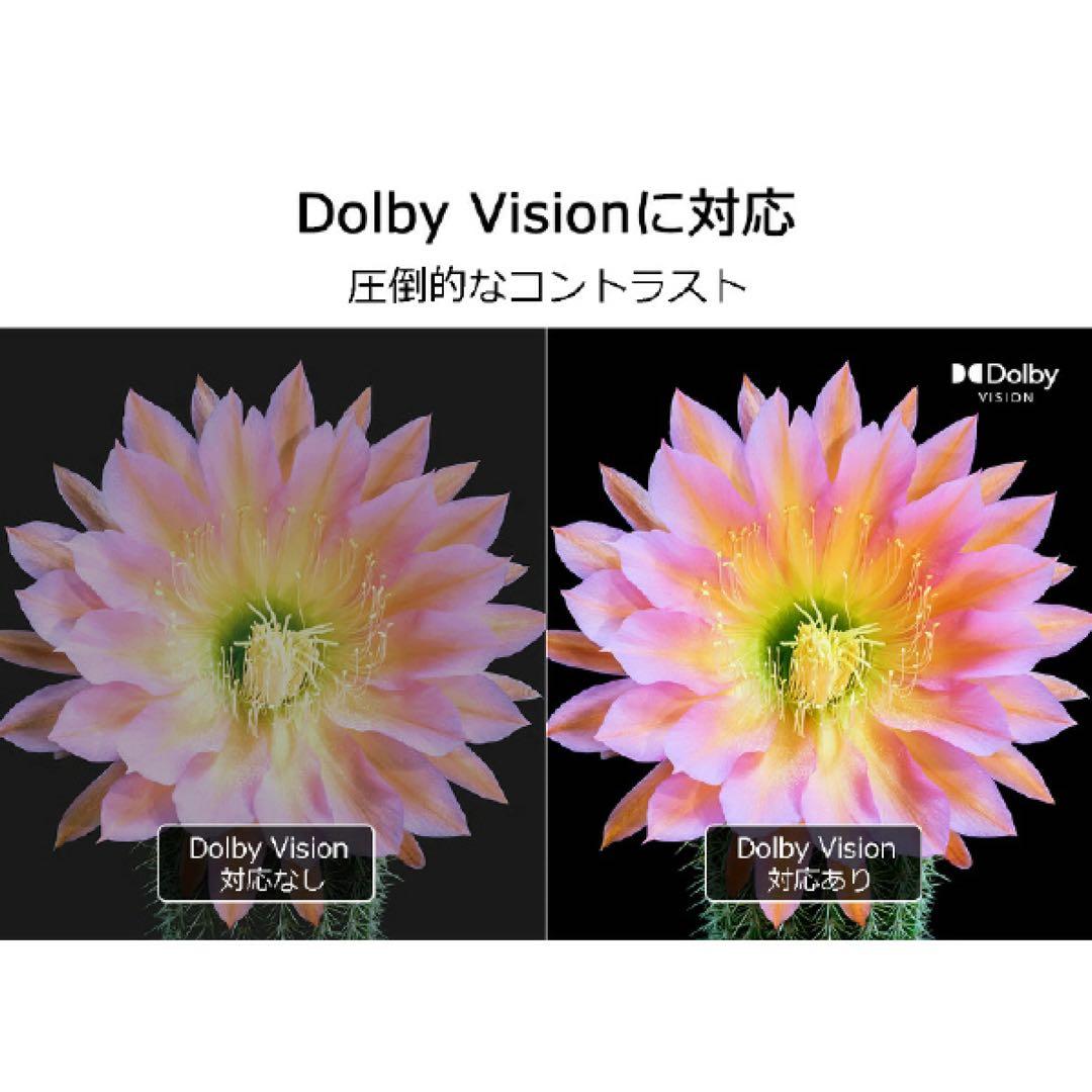 TCL 43V型4K対応液晶 チューナーレススマートテレビ43P63E