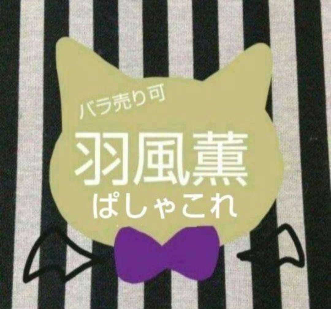 あんスタ 薫 ぱしゃこれ 箔押し 中国 星動 冬日 星燦 3周年 4周年 5周年